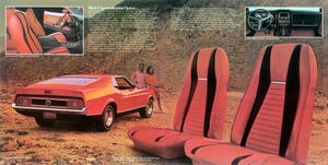 1972 Ford Mustang -10-11.jpg